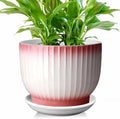 8 Inch Ceramic Plant Pot, Pink + White by YUFDA