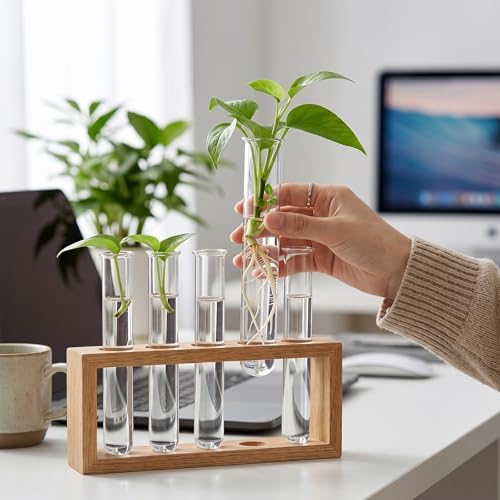 4pcs Plant Propagation Tubes Glass Test Tube Vase Replacement Clear Hydroponic Flower Vase for Home Office Wall Decor Desktop Decorations (Without Stand) (18.00X3.00X2.50CM) - Image 2