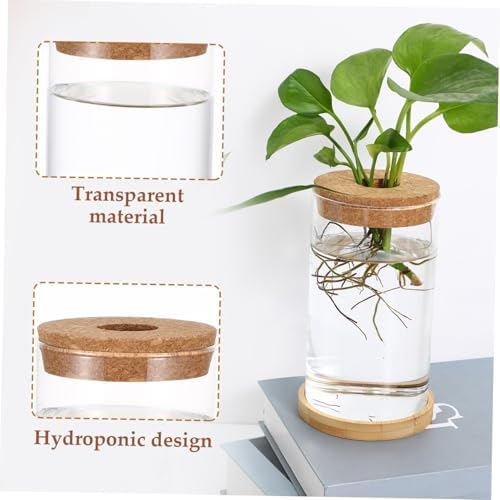 Glass Hydroponic Propagation Vase Planter for Green Radish and Plants with Tube, Design to Observe Water Levels, for Office and Home Decor - Image 3