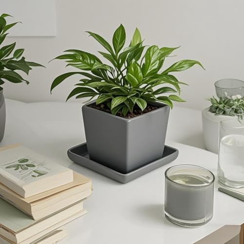 Square Ceramic Plant Saucer Tray 2 Pcs 6 7 8 Inch Grey, 8" OD x6.7 ID x1.2 Deep, Sturdy Heavy Duty Glazed Planter Drip Flower pots with Catch Basin for Indoor Outdoor Plants(8" Grey) - Image 5