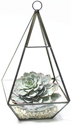 WGV Hanging Geometric Planter Terrarium Width 5" Height 9.5" Clear Glass Black Frame DIY Succulent air Plant Miniature Fairy Garden Windowsill Decor Raised Tall Pyramid 1 Piece - Image 4