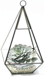 WGV Hanging Geometric Planter Terrarium Width 5" Height 9.5" Clear Glass Black Frame DIY Succulent air Plant Miniature Fairy Garden Windowsill Decor Raised Tall Pyramid 1 Piece - Image 4