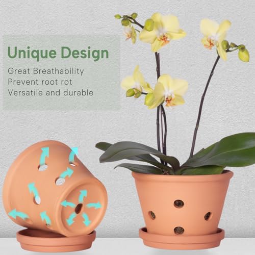 8 inch Terracotta Orchid Pots with Holes and Saucers, 2 Pack Clay Orchid Planter Pots for Repotting, Large Terra Cotta Orchid Pot, Plant Flower Pots for Orchid Indoor Outdoor Promotes Air Circulation - Image 6