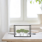 Glass Terrarium Plant Holder for Flowers and Patio Garden Display - Image 5