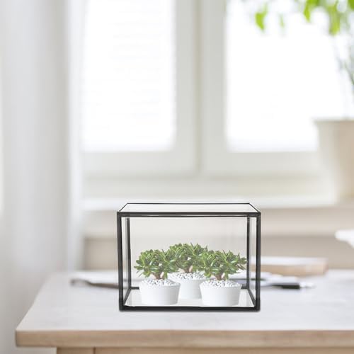 Glass Terrarium Plant Holder for Flowers and Patio Garden Display - Image 5