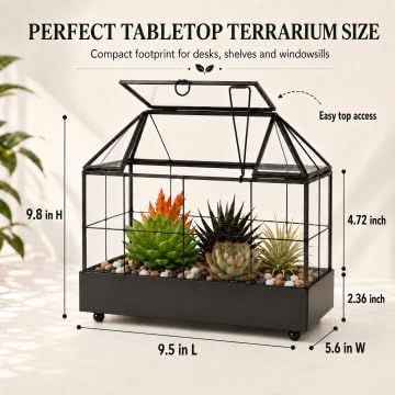 Large Tall Plant Terrarium Glass – Glass Greenhouse Terrarium with Lid and Tray,Indoor Tabletop Orchid Succulent Cacti Terrarium Kit 9.5”X9.8”X5.6” - Image 7