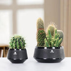 Bonsai Pots with Drainage Tray, Plastic Imitate Ceramic Bonsai Tree Pot with Excellent Airflow, Large Succulent Pots for Indoor Plants, Juniper, Ficus, Chinese Elm, Cactus, 8 Inch, Set of 2 - Image 6