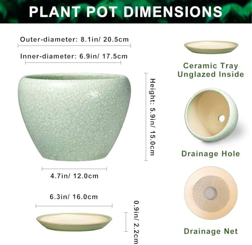 Ceramic Planter, 8 Inch Plant Pot, Crackle Light Green - Image 2