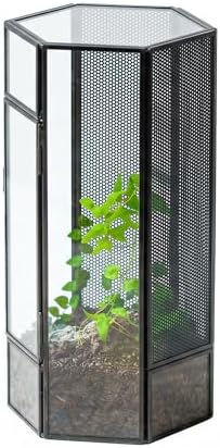 NCYP Small Glass Terrarium with Mesh and Door for Spiders, Hexagon Shape Small Mantis Vented Glass Terrarium 4.9'' x 4.3'' x 9.4'', Tabletop Decor, Black (Plants Not Include) by NCYP