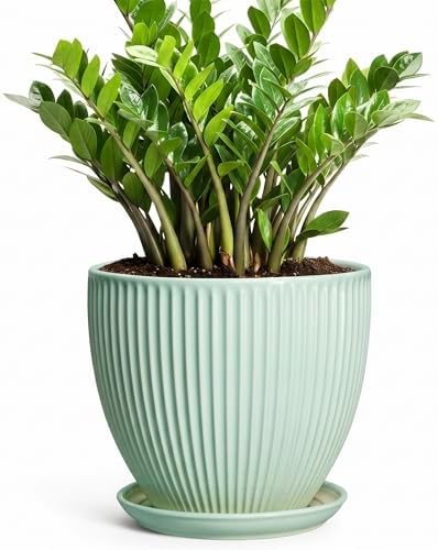 10 Inch Planter Indoor, Ceramic Pots with Saucer, Mint Green by Unknown