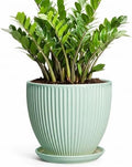 10 Inch Planter Indoor, Ceramic Pots with Saucer, Mint Green by Unknown