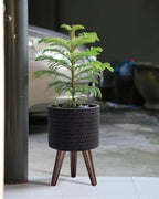 D'vine Dev Planter Pot with Wood Stand, 8 in, Distressed Black, 88-Z-A-5 - Image 2