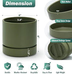Phoenix Vine 6 Inch Planter Pot with Drainage Hole & Saucer, Deep Water Catch Tray, Straight Cylindrical Round Pot for Plants, Olive, Pack of 3, 23-D-S-3 - Image 3