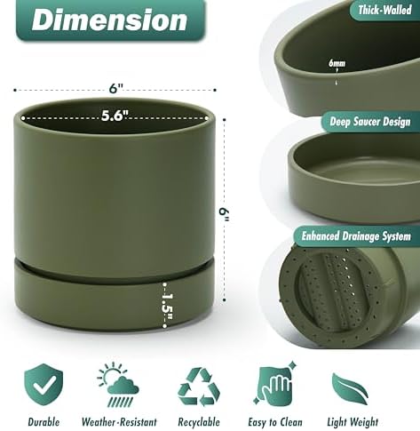 Phoenix Vine 6 Inch Planter Pot with Drainage Hole & Saucer, Deep Water Catch Tray, Straight Cylindrical Round Pot for Plants, Olive, Pack of 3, 23-D-S-3 - Image 3