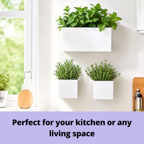 LaLaGreen Wall Planter (3-Pack Set) Rectangular Indoor Hanging Flower Boxes - Image 4