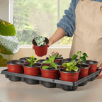 RooTrimmer 4 inch Round Nursery Pots 60pcs, 12 Cell Nursery Pots Trays 5 Pcs, Sturdy Seeds Starting Germination Shuttle Carrying Trays, Small Planter Nursery Propagation 5 Sets - Image 6