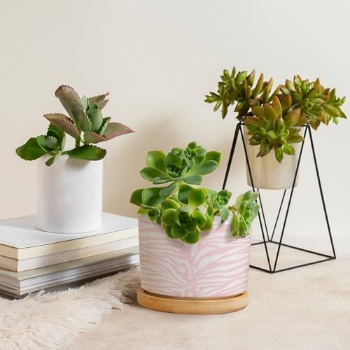 Tiger Print Light Pink White Planter Ceramic Animal Tiger Print Round Plant Pots with Drainage Holes and Bamboo Tray Pot for Succulents Cactus Garden Windowsill - Image 4
