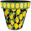 Briarwood Lane Everyday Planter 14" x 15" x 15" Lemons Large Planter by BriarwoodLane
