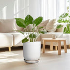 Pots for Plants - 10 Inch Ceramic Plant Pot with Drainage Hole and Saucer Large Planter for Plants Indoor Outdoor Modern Flower Pot for Home Decor White - Image 2