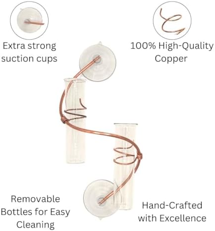2 Willow Window Plant Propagator- Window Propagation Station | Removable Glass Test Tubes for Indoor Clippings, Cut Flowers, Herbs, Succulents | Home Decor | (2 Willow) - Image 4