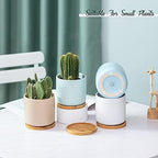 4 Inch Ceramic Plant Pots with Drainage Hole and Saucer, Small Modern Flower Pots with Trays for Succulent, Cactus and Herbs, Morandi Colors, Set of 4 - Image 2