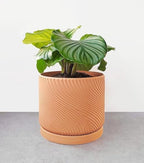 7" Unglazed Terracotta Planter with Drainage Hole & Saucer, Modern Minimalist Plant Pot for Home & Garden - Image 3
