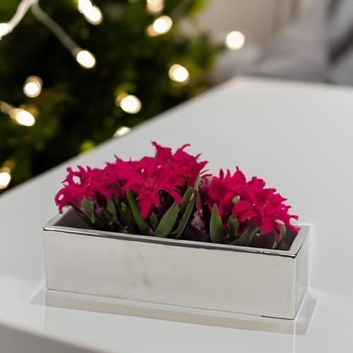 WGVI Long Rectangle Ceramic Planter Vase in Silver 14" x 4" x 4"H, Rectangular Box Block Terrarium Pot, Flower Arrangement, Tabletop Centerpiece, Home Decor Organization Storage Container, 1 Pc. - Image 7