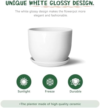 8 Inch Ceramic Plant Pot,Ceramic Planter,White - Image 4