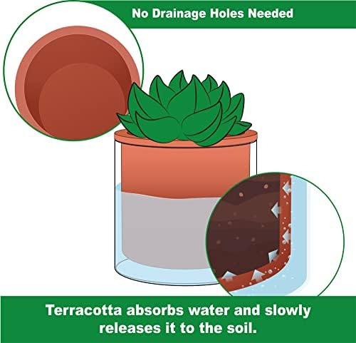 Phoenix Vine 4 Inch 6 Inch Self Watering Plants Pots, Design Terracotta Pots for Plants, Indoor Cylinder Terra Cotta Planter with Glass Vase Set, 51-A-G-46 - Image 3
