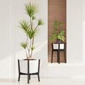 iDavosic.ly Adjustable Metal Plant Stand 2 Pack, Fits 8-12 Inch Pot, White by iDavosicly