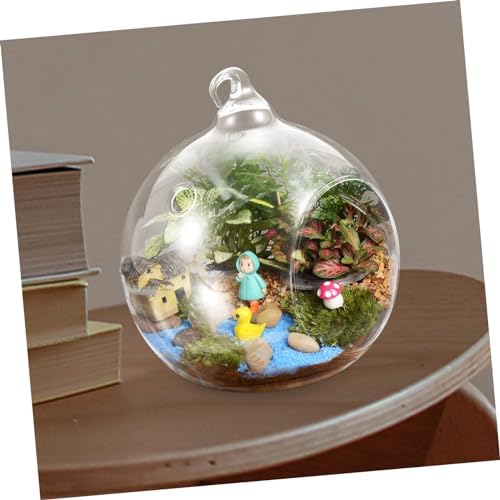 Glass Hanging Globe Terrarium 2pcs for Plants and Flowers - Image 6