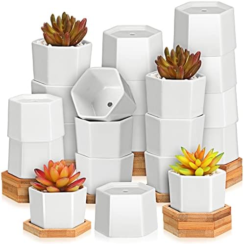 Gerrii Succulent Pots Mini White Ceramic Flower Planter Pot Succulent Planters with Wooden Trays and Drainage Holes for Plants Cactus Home Office Decoration, Plants Not Included(24 Pcs) by Gerrii