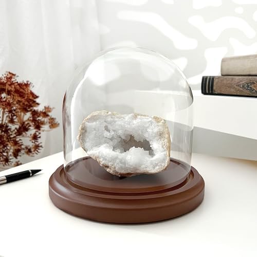 Plymor 5.5 inch x 5.5 inch Glass Display Dome Cloche (Dark Wood Base) - Image 3