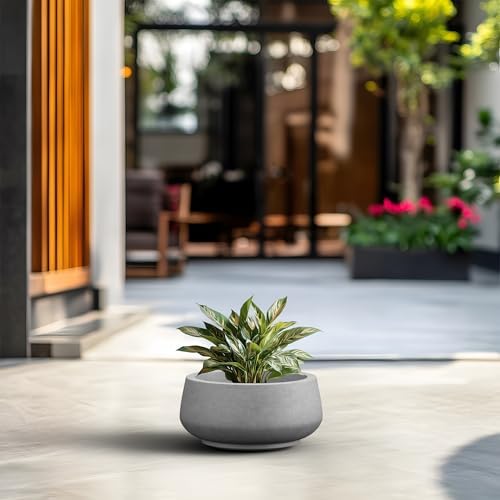 Kante Small Round Shallow Pale Gray Concrete Planter 12.5" Dia, Outdoor - Image 3