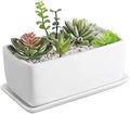 MyGift 10 Inch Modern Unglazed White Ceramic Indoor Plant Pot with Drainage Hole, Rectangular Succulent Planter Window Box with Removable Saucer, 1 Pack by MyGiftHome