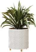 EverNest Honeycomb Gold and White Planter with Wooden Peg Leg Stand, 8-Inch Plant Pot, SelectBase, Mid-Century Modern, Indoor Home Decor Planters (Small, 1 Gallon) by EverNest