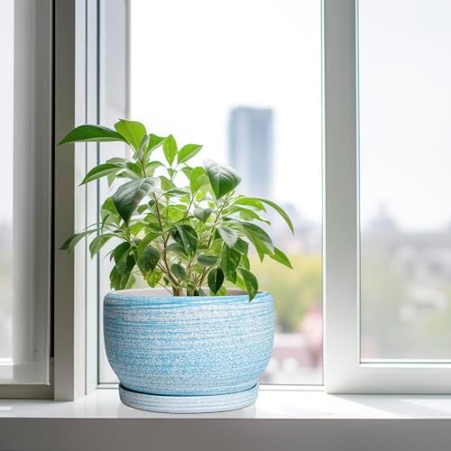SQOWL Ceramic Plant Pots - 10 Inch Ceramic Flower Pots with Drainage Hole and Saucer, Round Large Planter for Indoor Outdoor, Decorative Modern Planter, Kitchen Decor, House Warming Gifts, Blue - Image 4