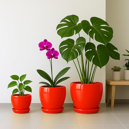 Deep Dream 8 Inch Plant Pots- Ceramic Pots for Plants with Drainage Hole and Saucer, Large Planter Pot for Indoor Plants Outdoor Decor, Red - Image 5