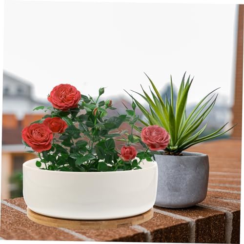 Gatuida Ceramic Succulent Planter Pot Garden Ceramic Plant Pots Bamboo Tray Small Bonsai - Image 6