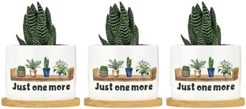 DreamAutumn Just One More Plant Ceramic Planters Pack of 3 Ceramic Pots with Saucers Orchid Pots for Plants Succulents Pots Home Office Desk Garden Balconys Decor,Gifts for Mom - Image 6