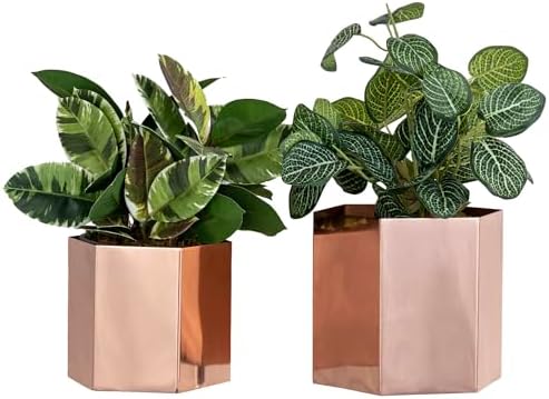 MyGift Copper Tone Metal Hexagon Succulent Cactus Planter Pots, Set of 2 by MyGiftHome