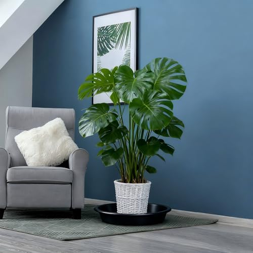 TITE Plant Saucer 16 inch,Heavy Large Planter Durable Thicker Plastic Plant Trays for Indoors and Outdoor,Plant Saucer Drip Trays,Black (16 inch, Black) - Image 7