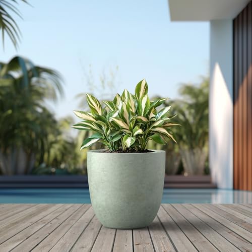 Kante Large Round Bowl Mint Green Concrete Planter 18" Dia, Outdoor - Image 3