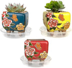 3.63 Inch Hand Painted Succulent Planter with Drainage and Saucers Ceramic Cactus Planter Pot Clay Pot Floral Design Indoor Outdoor Set of 3 (Green Yellow Red) by SUMMERIMPRESSIONS