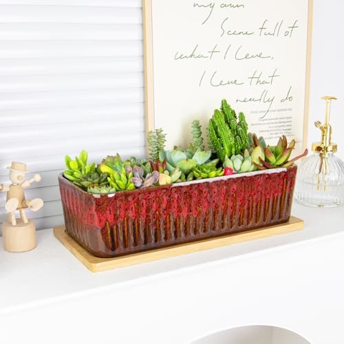 Succulent Pots, 12'' Long Rectangle Planters with Tray, Windowsill Planter - Image 4