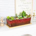 Succulent Pots, 12'' Long Rectangle Planters with Tray, Windowsill Planter - Image 4