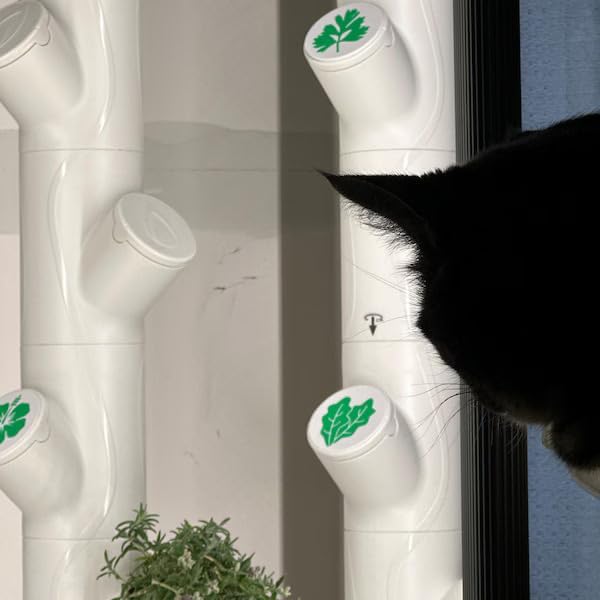 Grow Cubes for Hydroponic System/Compatible with Gardyn (10 Grow Cubes / 10 W&B caps) - Image 4
