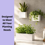 LaLaGreen Wall Planter (3-Pack Set) Rectangular Indoor Hanging Flower Boxes - Image 6