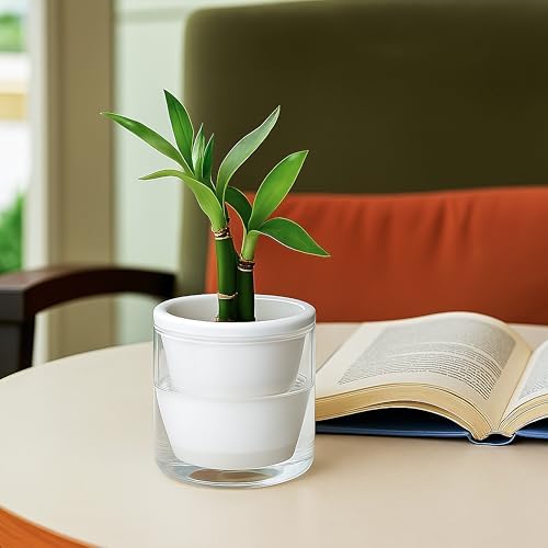 D'vine Dev Self-Watering White Terracotta Planter, 4 in, 4-Pack, 37-Z-A-2-F - Image 2