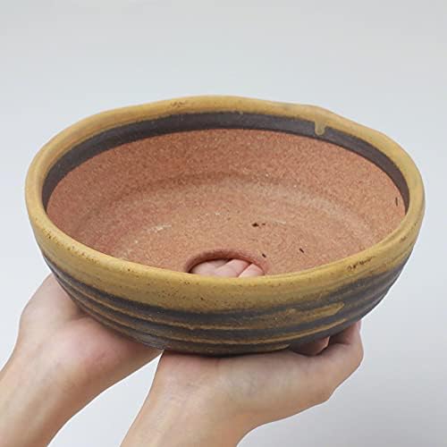 Wazakura Shigaraki Series Yellow Dust Stripe Glazed Ceramic Bonsai Pot - Image 5
